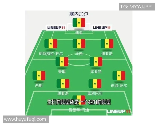 卡塔尔世界杯足球明星阵容全面解析与球员实力分析